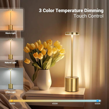 Lighting and decoration
